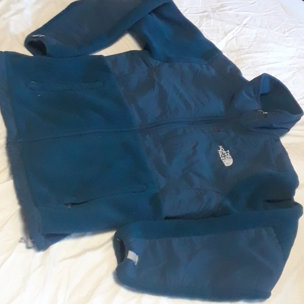 The North Face Women Denali Jackets Blue